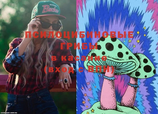 молекула духа Армянск