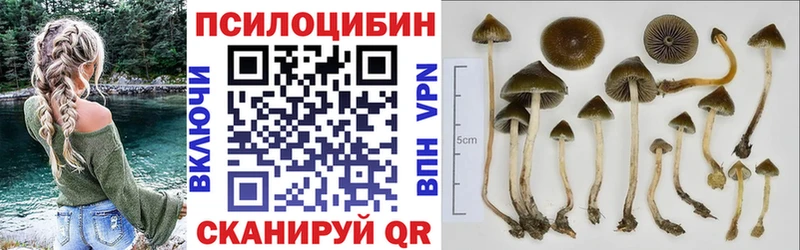 Галлюциногенные грибы GOLDEN TEACHER Приозерск